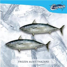 Auxis Tอันตรายแช่แข็ง