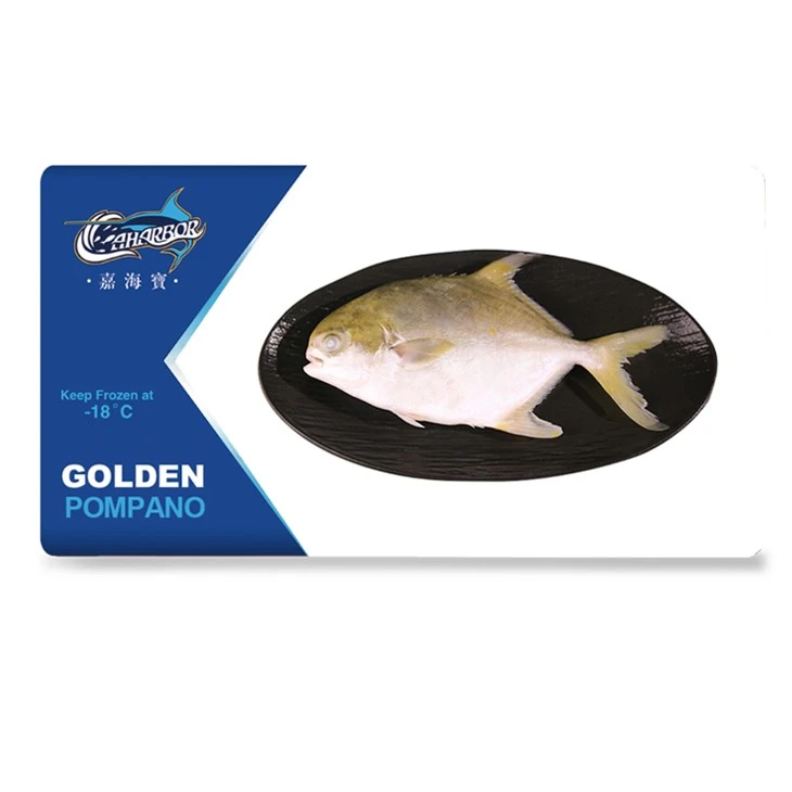 Pompano สีทองแช่แข็ง
