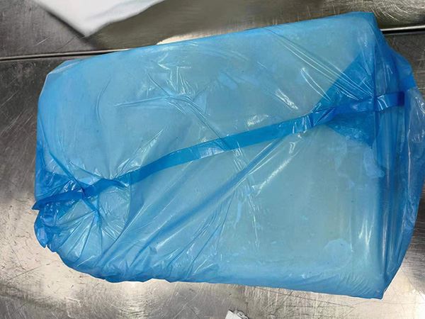 Giant Squid Fillet (Dosodicus Gigas)