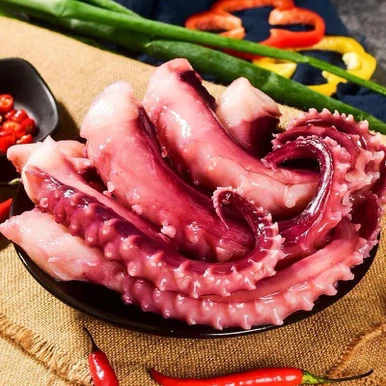 เซฟาโลพอด