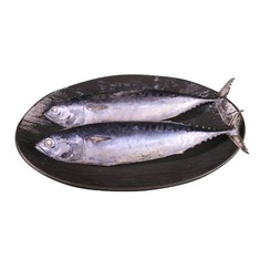 บูลเล็ตทูน่า