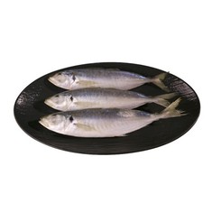 ปลาปารัง