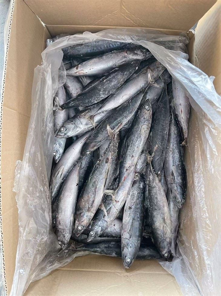 _2026-01-09_141439_883_