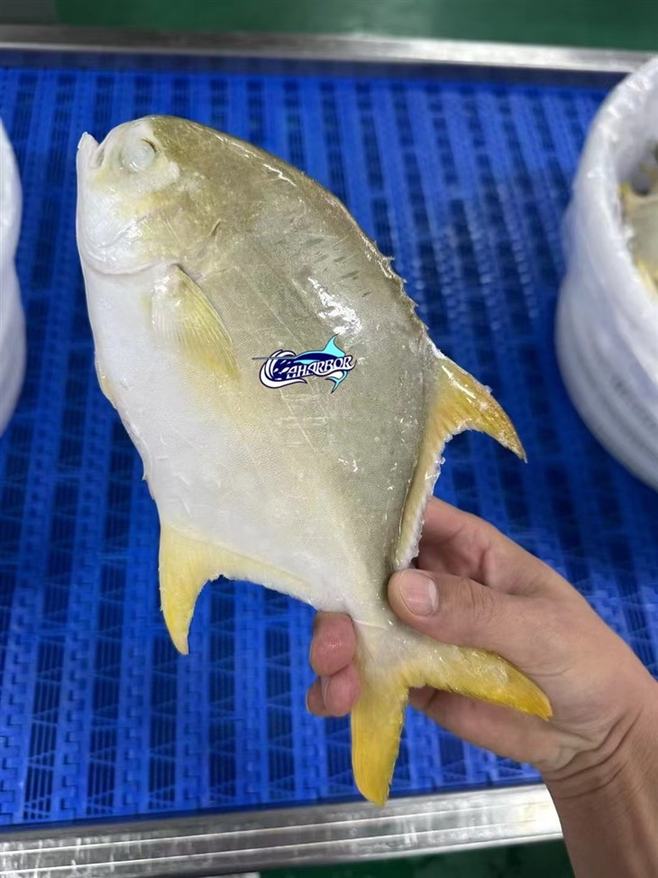 Frozen Butter Fish factory