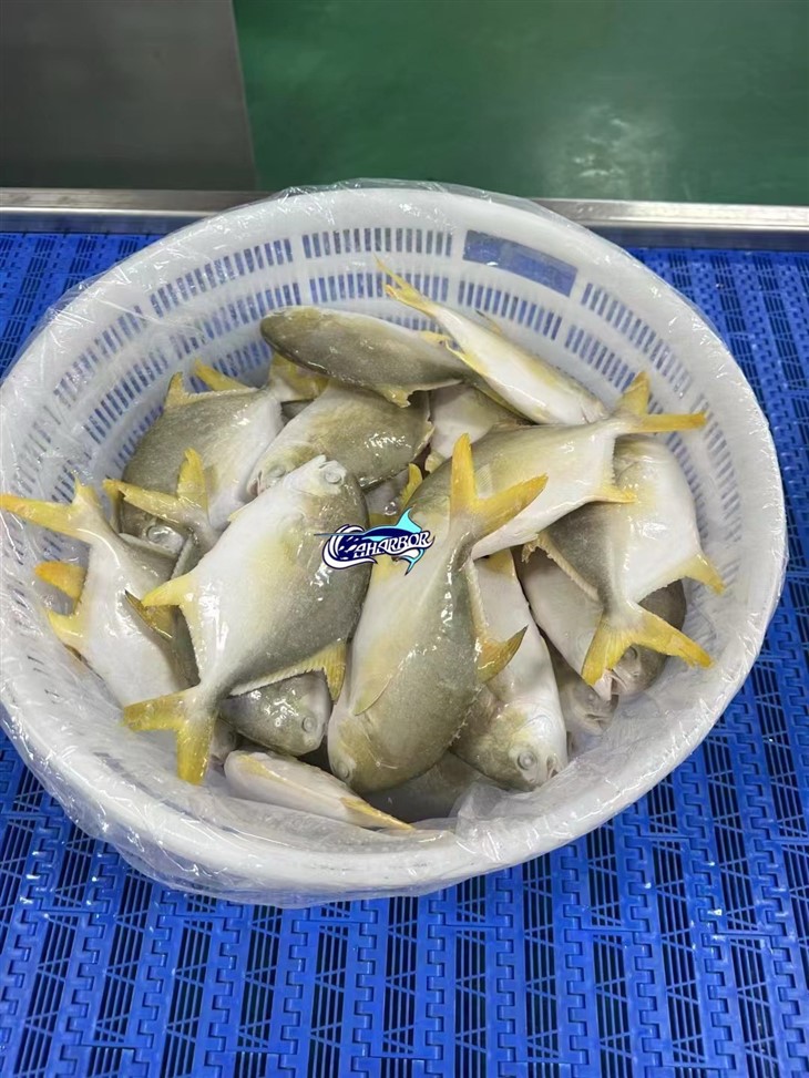 Frozen Butter Fish best