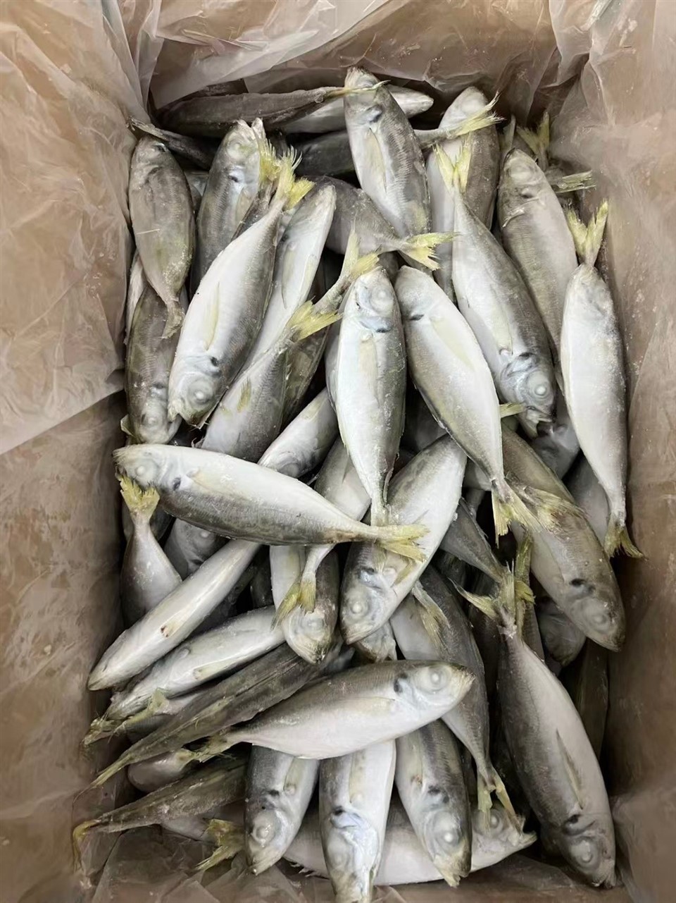 f30c08fe0e3232880193c8dc4cbf7cae_