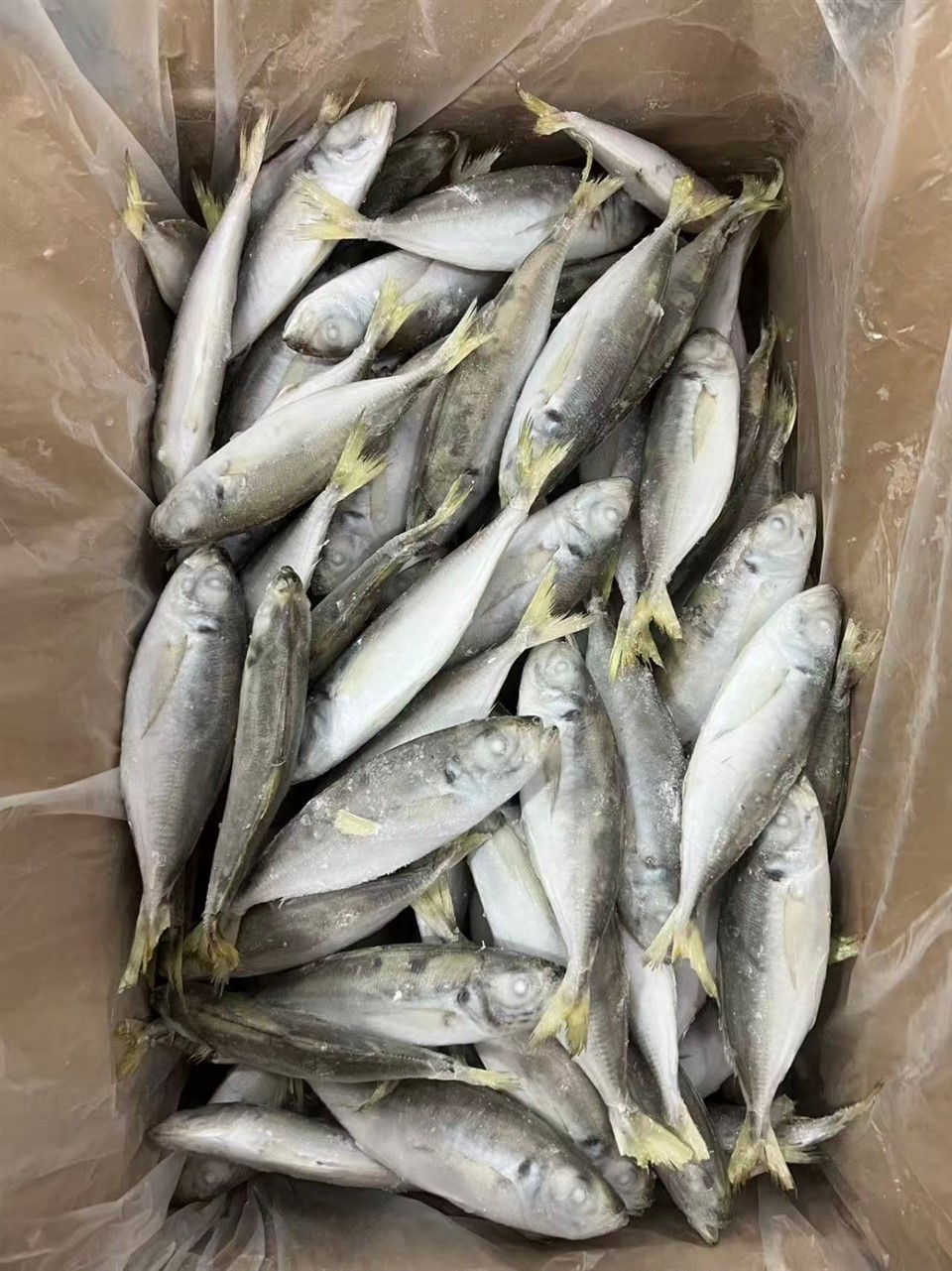 e96fb997049fa93fdcaa24af245a794e_