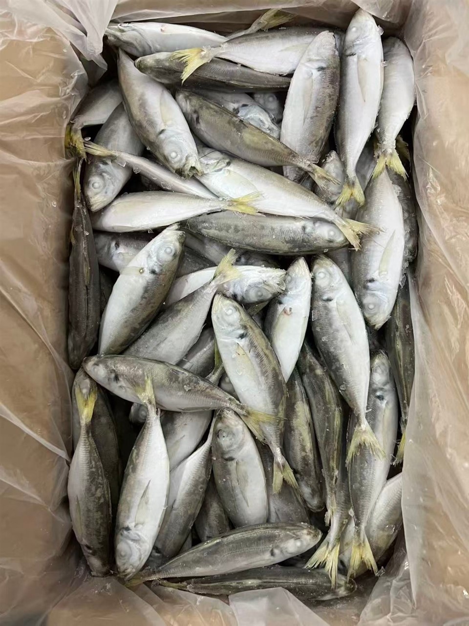 e3524101201a076ac5485dbbd45f4bd5_