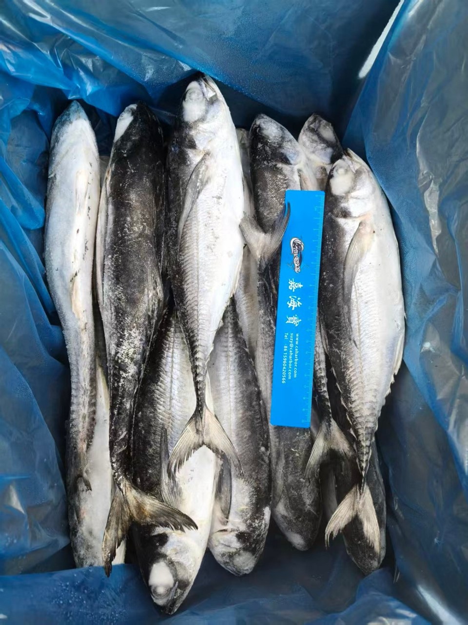 4b2726373c46a7cbf87fa036327100a4_