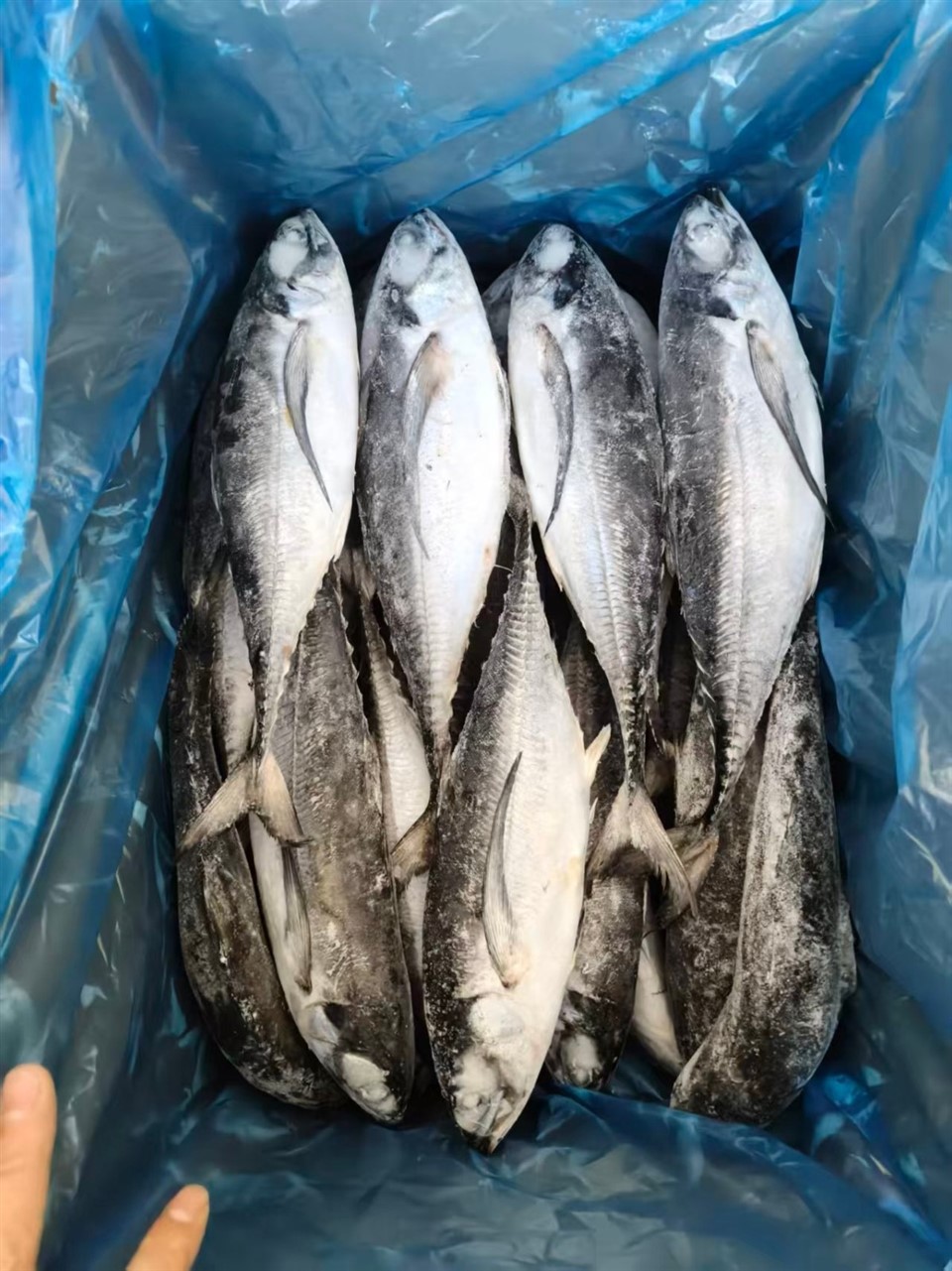 b284987ecf895a09c324837e07920e05_