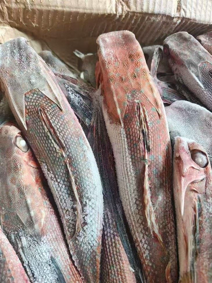 a4414c7b99f9e2fde09f9e0001672387_