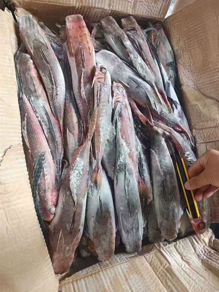 47082779a6f49219fae4119f1673a387_