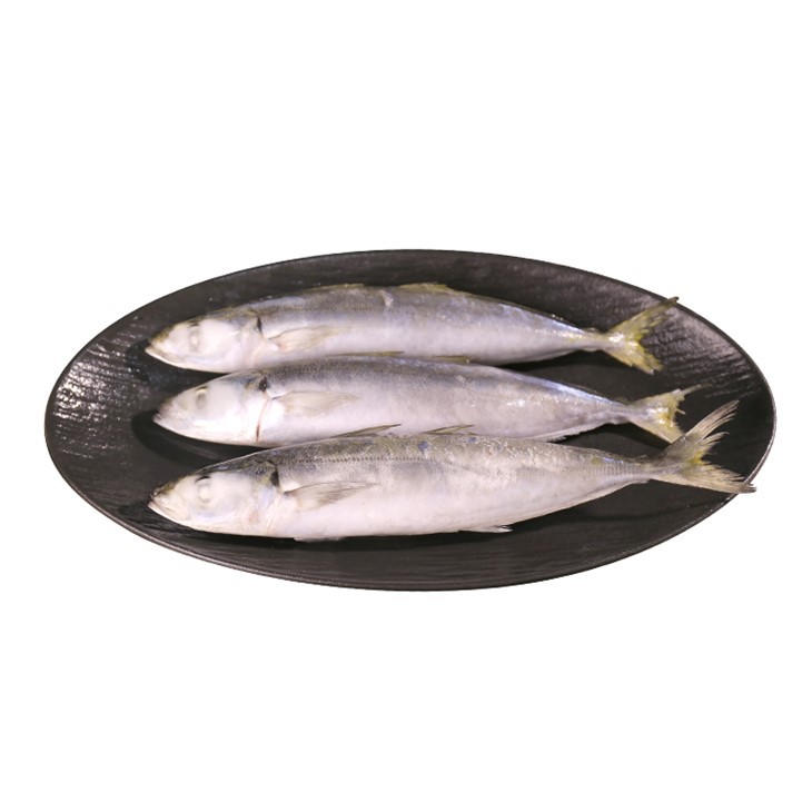 Galunggong Scad WR. แช่แข็ง