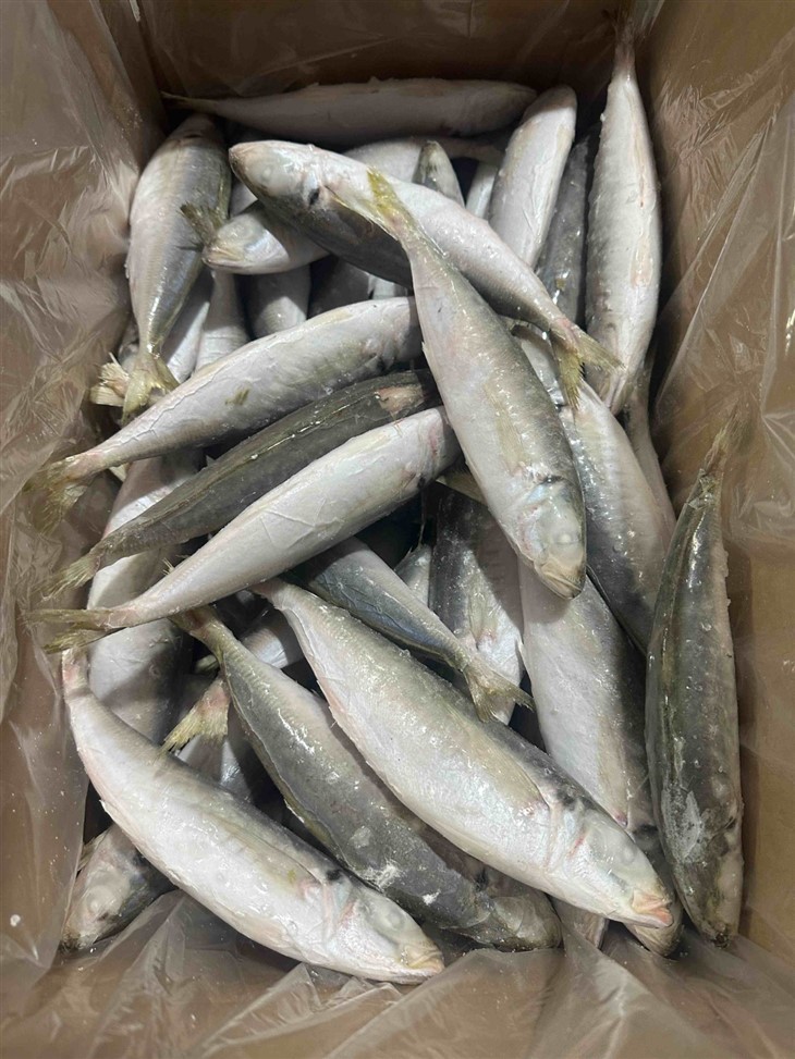 46b7f3278eb96726cfb3193607ef2daf_