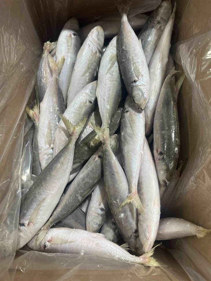 9c2a4a49f0fad7698b7ab3da3b31e594_