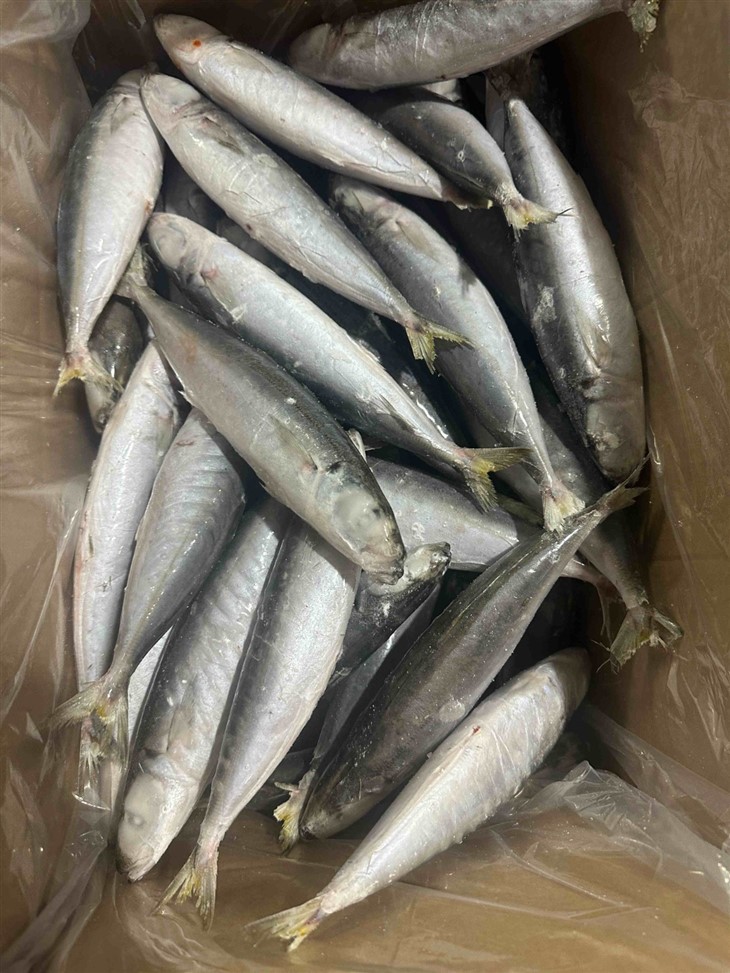 b08549a9a983e937ef99a9b9777f8e27_