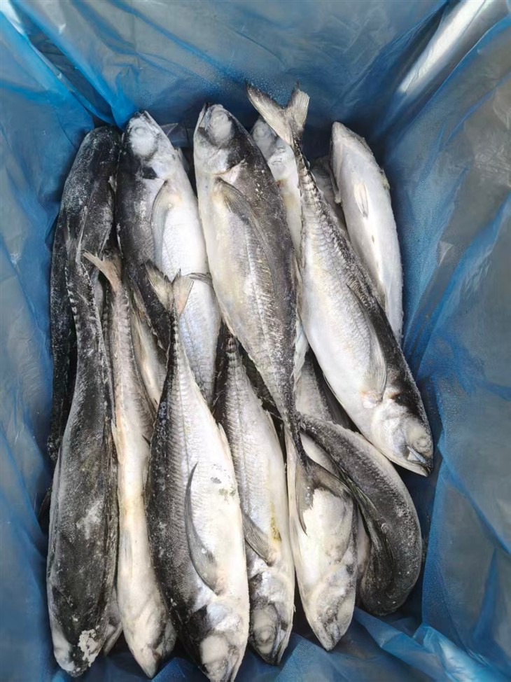 545a0f70112e0c2f85cebb5e46c731ff_