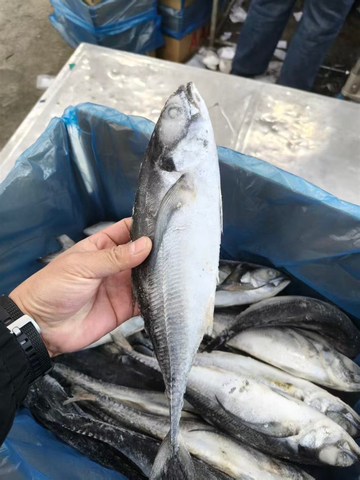 5bc28b4216fdc0620b435d1a7afc5447_