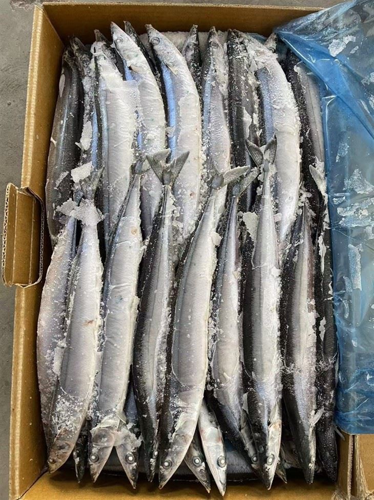 52d7d79d25ac7f0cecb4880f5c78db2e_