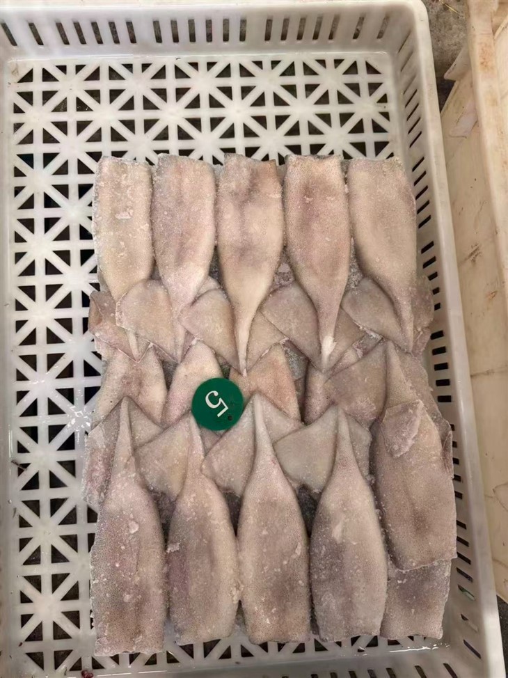Frozen Squid Tube For Argentina Illex factory