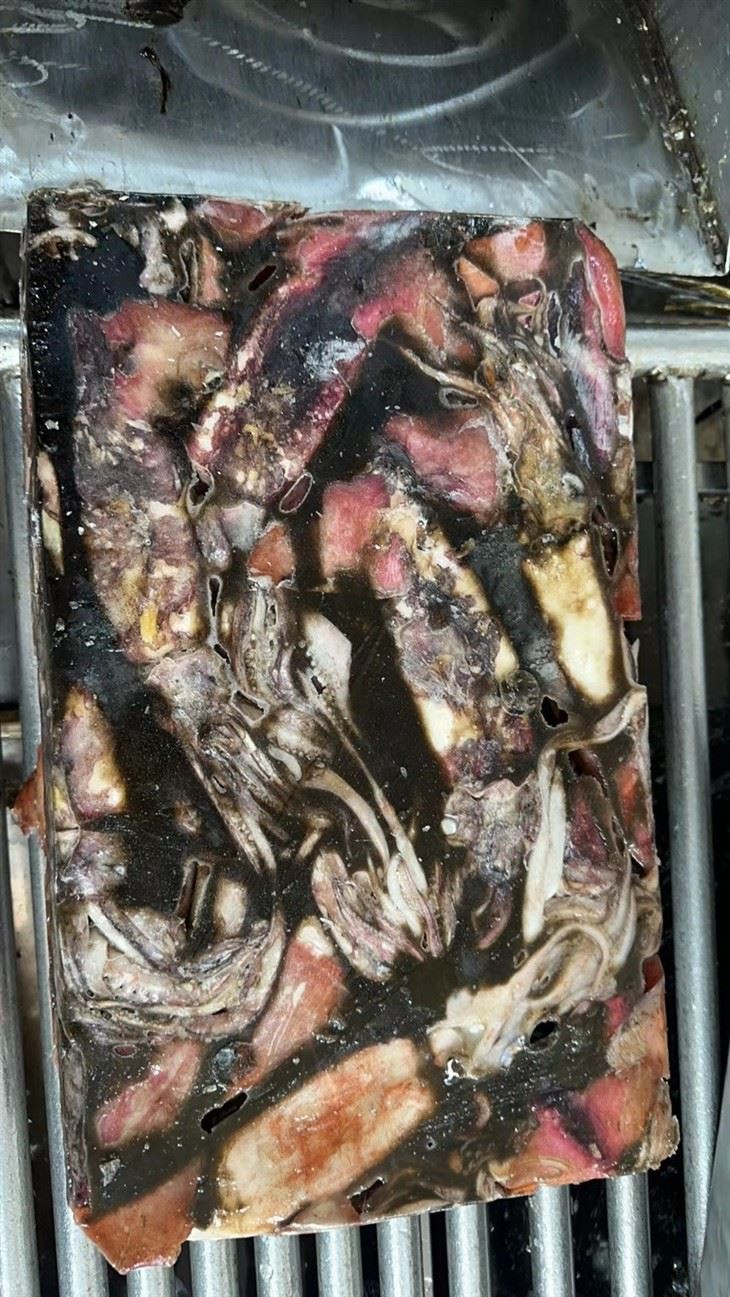 5e60541465ff090df9c320215ae8180_