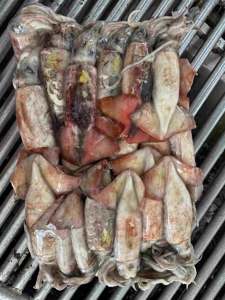 592e7c35f48160e6edbc08f652c6ce2_