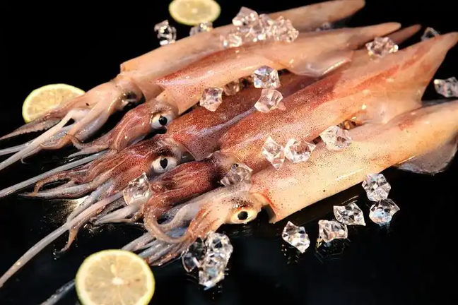 u164328564048391808fm253fmtautoapp138fJPEGwebp u164328564048391808fm253fmtautoapp138fJPEGwebp