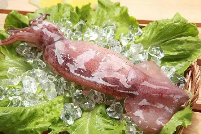 u3397417153885287334fm253fmtautowebp u3397417153885287334fm253fmtautowebp