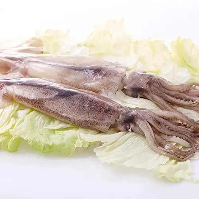 u4787983321694844384fm253fmtautoapp138fJPEGwebp u4787983321694844384fm253fmtautoapp138fJPEGwebp