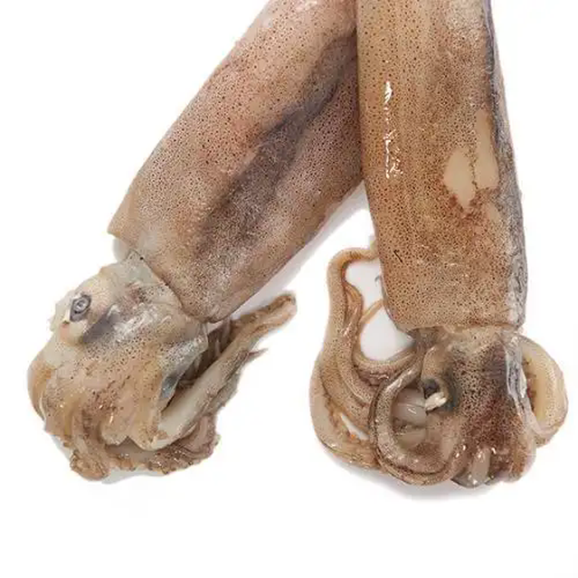 u1067285704427907199fm253fmtautoapp138fJPEGwebp u1067285704427907199fm253fmtautoapp138fJPEGwebp