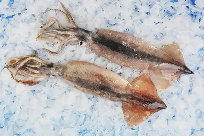 u23723840182320419962fm253fmtautoapp138fJPEGwebp u23723840182320419962fm253fmtautoapp138fJPEGwebp