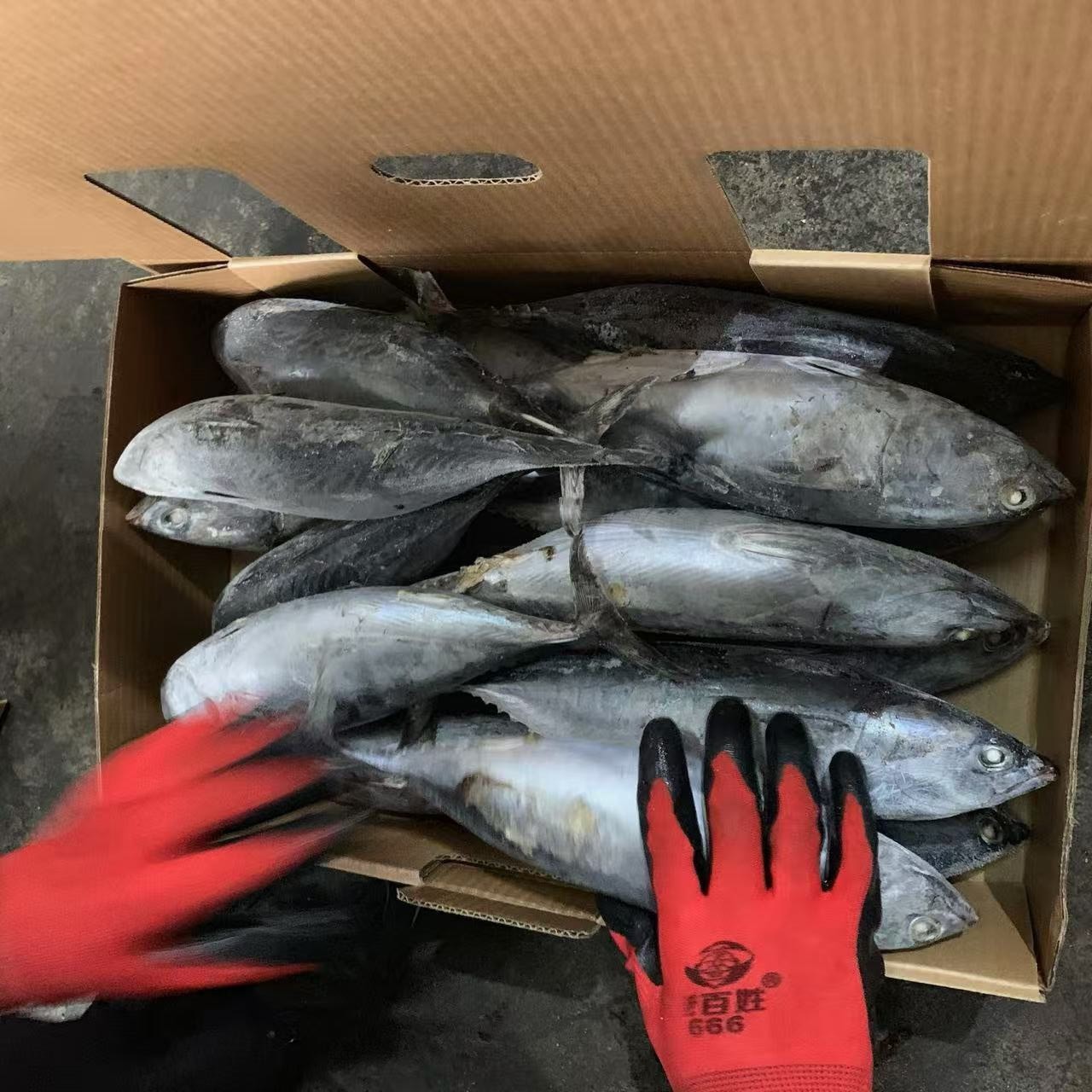 20241217160024 20241217160024