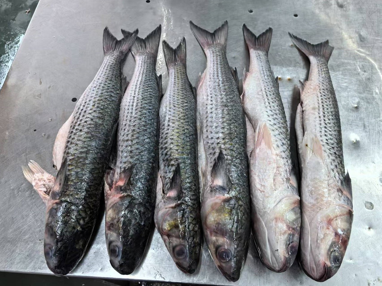 4467cc8efc56dd42d4720c085d849cd 4467cc8efc56dd42d4720c085d849cd