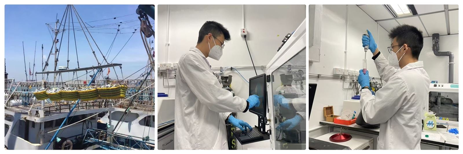 lab lab