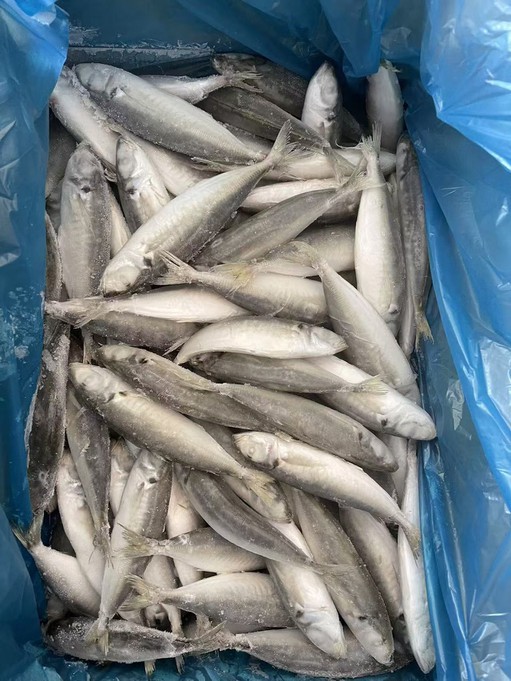 72fe25980cf50fe858f3a1df2da227c 72fe25980cf50fe858f3a1df2da227c