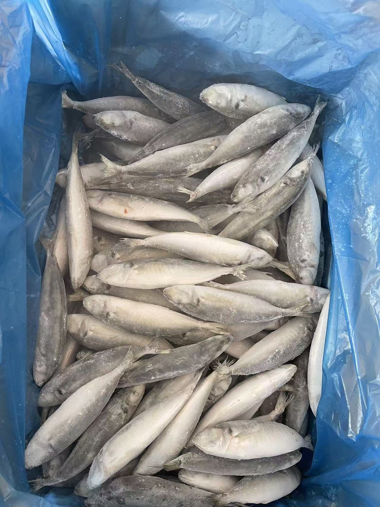 f889a4c9f825d6ba4c0f9414748fffb f889a4c9f825d6ba4c0f9414748fffb