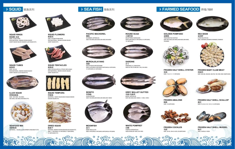product-768-488 product-768-488