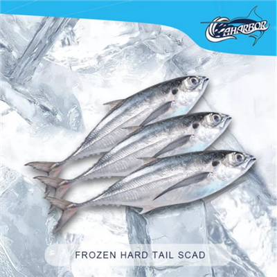 ปลาแมคเคอเรลแช่แข็ง