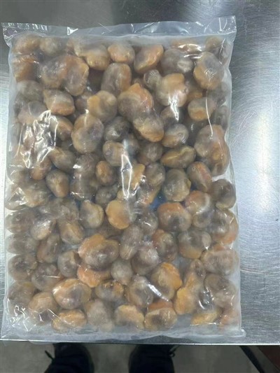 เนื้อหอยลายเลือดแช่แข็ง