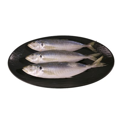 เหยื่อตกปลาทรงกลมแช่แข็ง